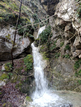 Водопад Мечата вода 1