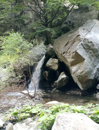 Водопад Стара река (Карлово) 12
