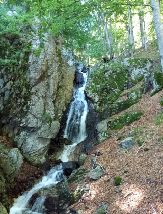 Водопад Малка Бъзовица 10
