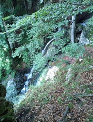 Водопад Малка Бъзовица 8