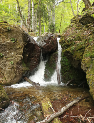 Водопад Петканова вода 2