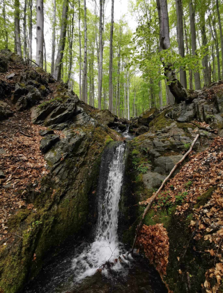 Водопад Дъбенска мандра