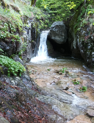 Водопад Каменица (Клисура) 7