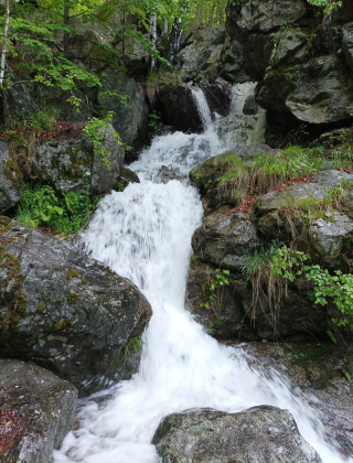 Водопад Каменица (Клисура) 8