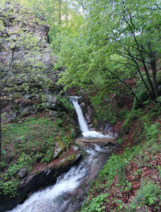 Водопад Каменица (Клисура) 9
