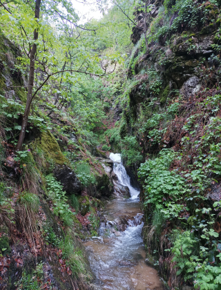 Водопад Каменица (Клисура) 10