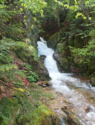 Водопад Каменица (Клисура) 13