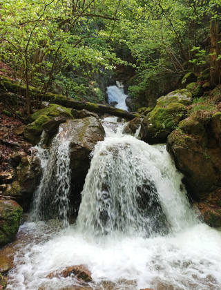 Водопад Каменица (Клисура) 12