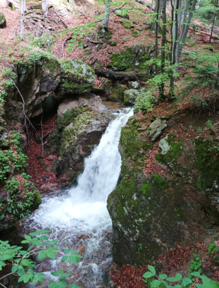 Водопад Каменица (Клисура) 14