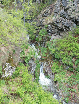 Водопад Каменица (Клисура) 16