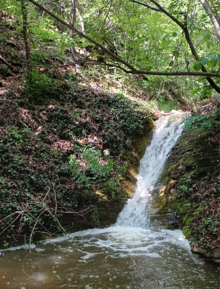 Водопад Селската река (Кошарица) 3