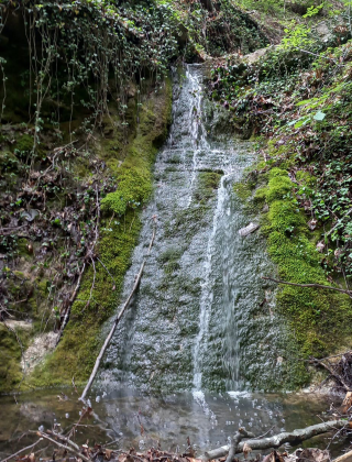 Водопад Селската река (Кошарица) 11