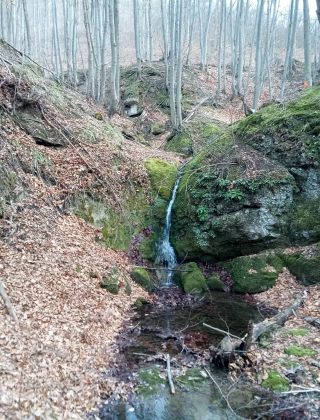 Водопад Малка река (Орешец) 1