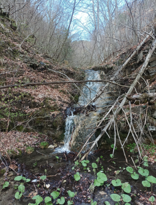 Водопад Яневи ниви 2
