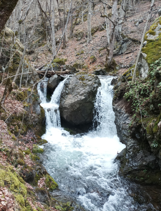 Долен водопад Куру дере (Триглав)