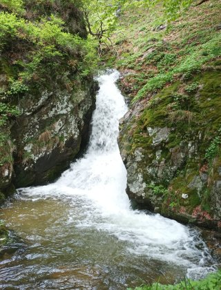 Водопад Каменица (Клисура) 18